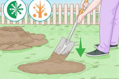 How to Level Bumps in Your Lawn with or without a Roller