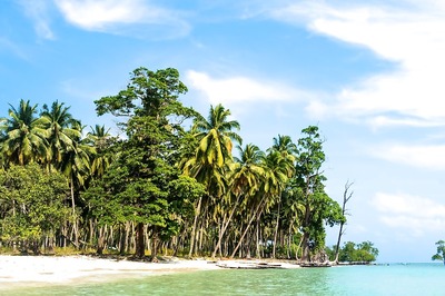 Gulmarg To Coorg: Scenic Honeymoon Destinations In India For A Romantic Getaway