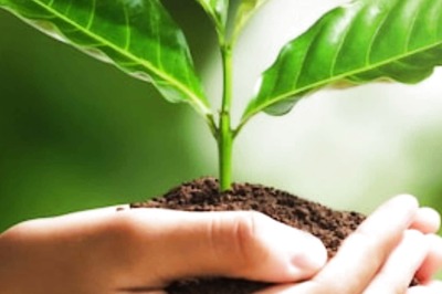 A Green Nation Needs Green Habits: Here Are 11 Green Habits To Save The Planet