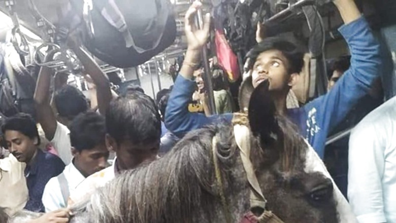 Photo of Horse Travelling Via Local Train in Bengal Goes Viral, Authorities Order Probe