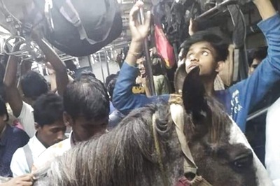 Photo of Horse Travelling Via Local Train in Bengal Goes Viral, Authorities Order Probe