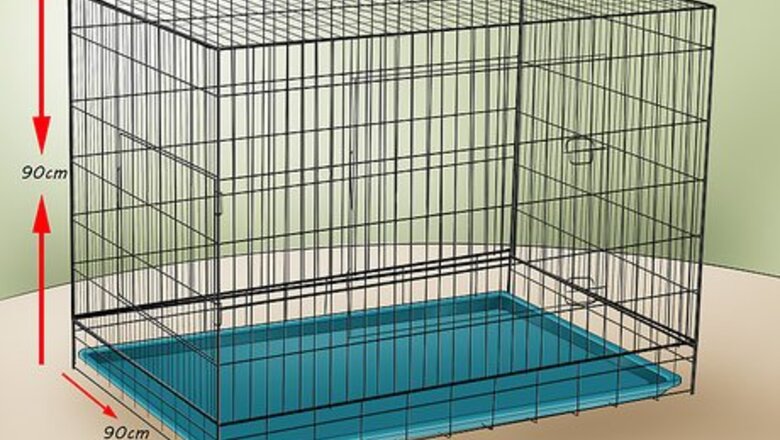 How to Set Up a Playful Environment in a Rabbit's Cage
