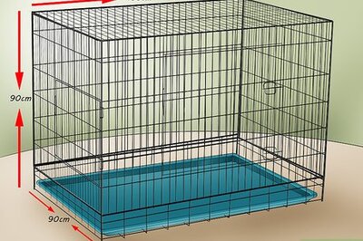 How to Set Up a Playful Environment in a Rabbit's Cage