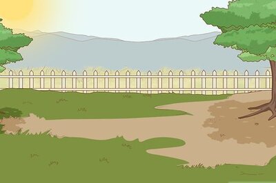 How to Start an Organic Vegetable Garden