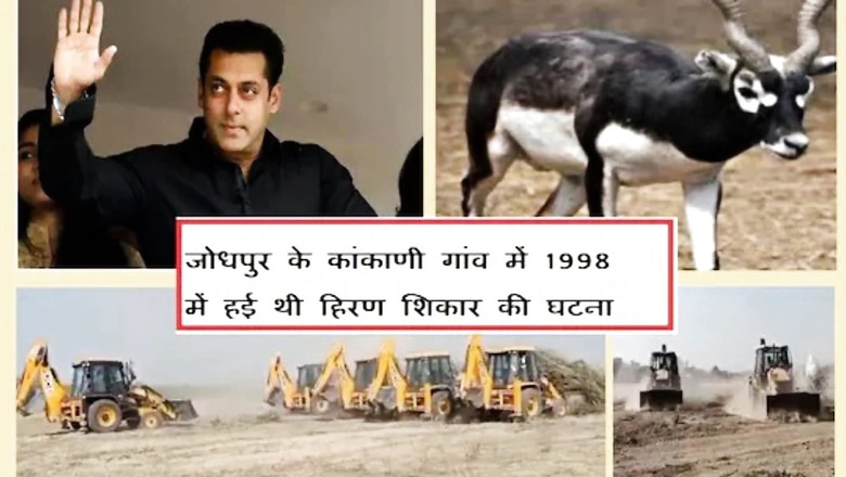 In Rajasthan Village, Bishnoi Community to Build Grand Memorial Honouring Black Buck