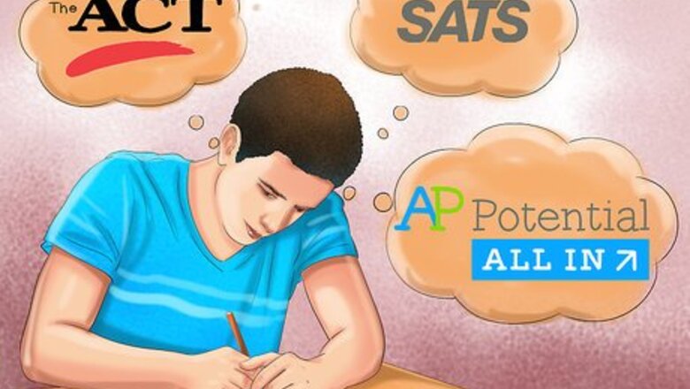 How to Become a Holistic Veterinarian