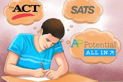 How to Become a Holistic Veterinarian