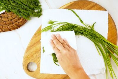 Quick and Easy Ways to Preserve Dill in Your Freezer