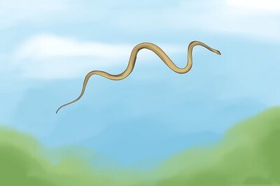 68 Creepiest & Most Dangerous Creatures in the World