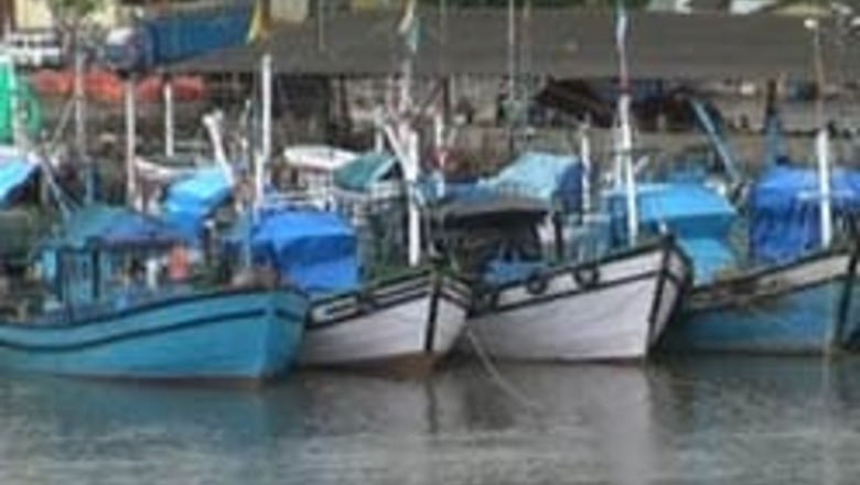 Goa caught in a fish frenzy