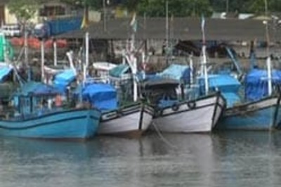 Goa caught in a fish frenzy