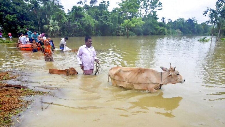 12 Dead in North East Flood; Situation Worsens in Assam, Manipur, Tripura