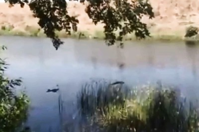 Corpses in Ganga: UP CM Yogi Adityanath Orders Patrolling by SDRF, PAC