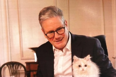 First Photo Of Keir Starmer's New Downing Street Kitten, Prince, Released