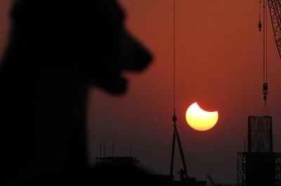 Stricter Measures for Dog Owners in Hyderabad? Swiggy Delivery Executive’s Death Sparks Debate on Who’s Responsible