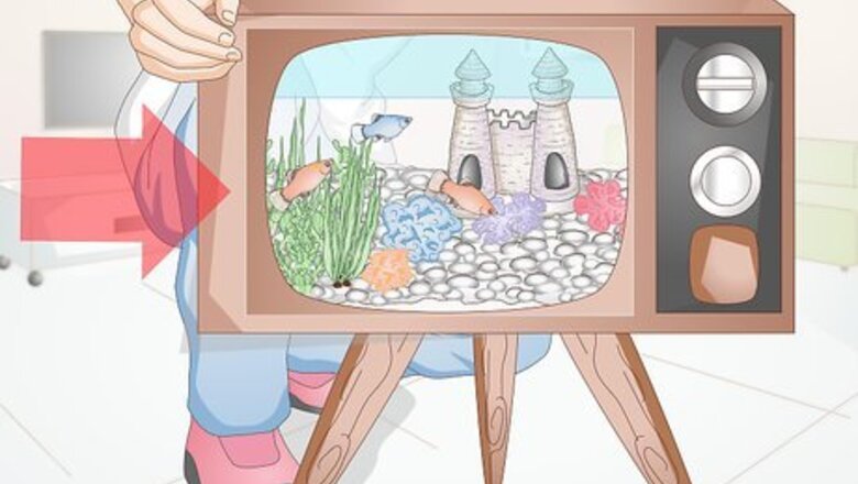How to Creatively Decorate a Freshwater Fish Tank