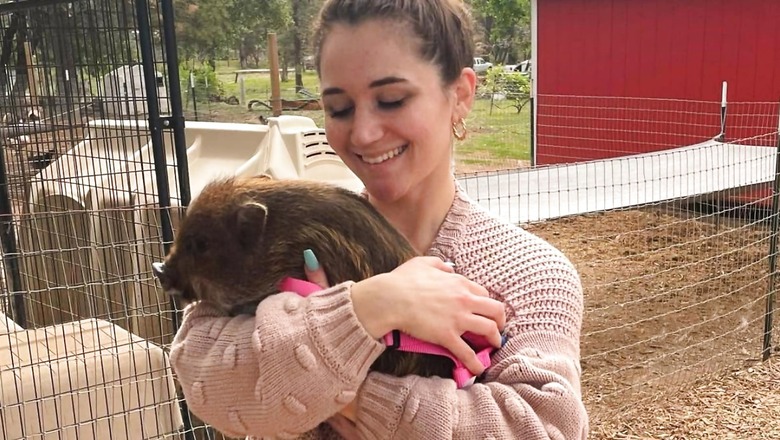 Meet Internet Sensation Merlin, The ‘World’s Smartest Pig’
