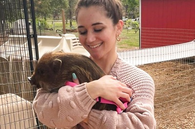 Meet Internet Sensation Merlin, The ‘World’s Smartest Pig’