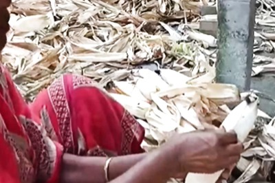 This Bengal Worker Is Producing Oil From Corn At Home And Selling It