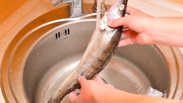 How to Fillet a Rainbow Trout Fish
