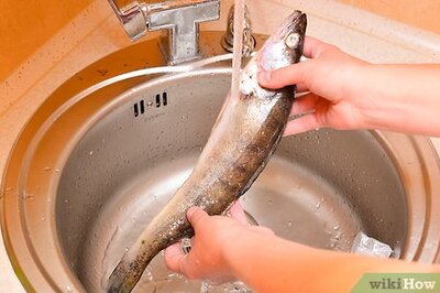 How to Fillet a Rainbow Trout Fish