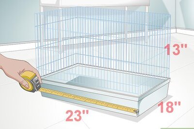 How to Select a Hamster Cage