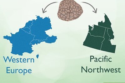 The Ultimate Guide to Truffles: How to Find, Cook, and Clean Them