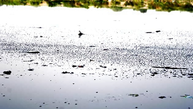 Delhi: Missing minor girl, neighbour found dead in Yamuna