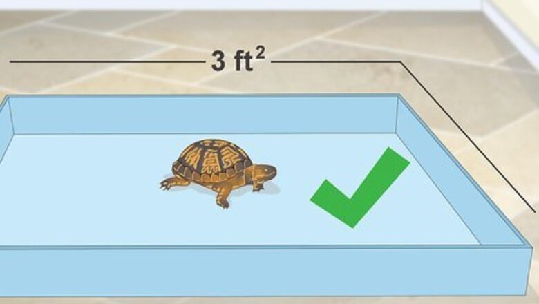 How to Create an Indoor Box Turtle Habitat