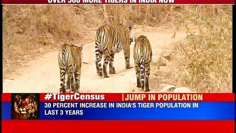 India has 2,226 tigers now, population grows by 30% in past three years