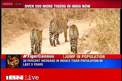 India has 2,226 tigers now, population grows by 30% in past three years