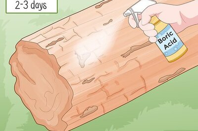How to Treat Dry Rot