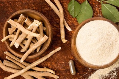 Matter of Pride, Says PM Modi as WHO to Set Up Centre for Traditional Medicine in India