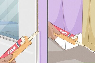 How to Get Rid of Sugar Ants in Your Home