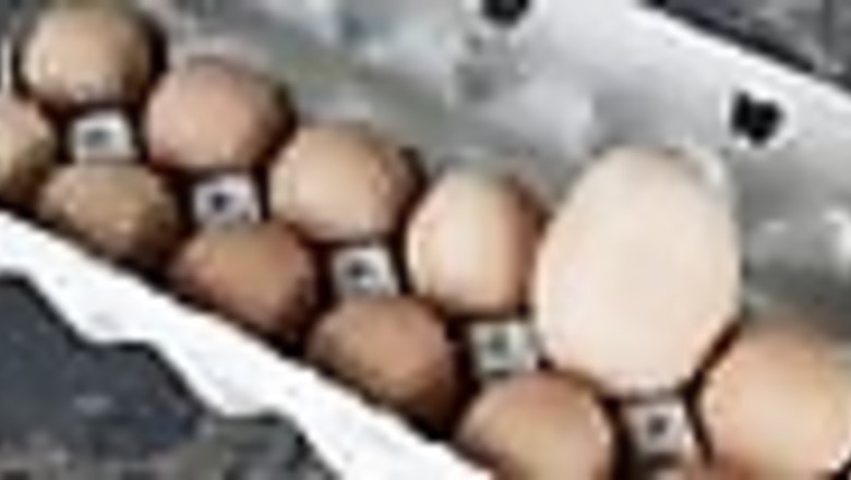 Seeing is believing: check out this big egg