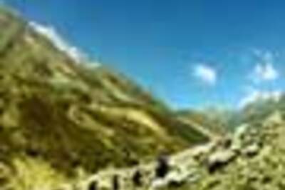 Indian wins American science journalism award