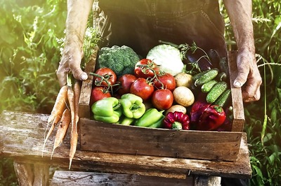 World Vegan Day 2017​: A Guide to Getting Key Nutrients With a Plant-based Diet