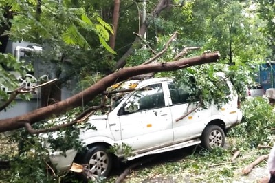 Cyclone Nivar: 5 Killed, Over 1,000 Trees Uprooted and Power Lines Snapped in Tamil Nadu