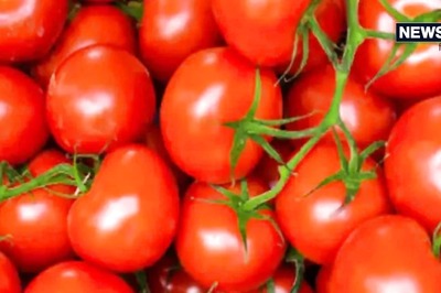 Love Tomatoes? Let's Get You Answer to Age-old Question -- Is it a Fruit or Vegetable?