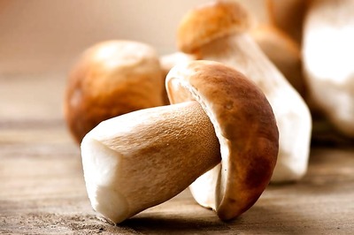 7 in Family Die After Eating Mushrooms, 3-Year-Old Girl Survives