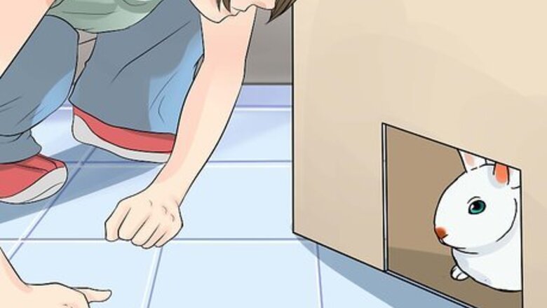 How to Restrain a Rabbit
