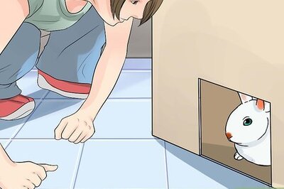 How to Restrain a Rabbit