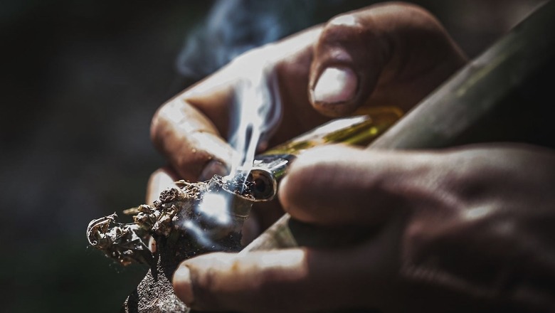 Social Justice Ministry Suggests 'Decriminalising' Those Held With Small Quantity of Drugs for Personal Use