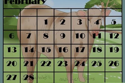 How to Know when a Heifer or Cow Is Ready to Be Bred