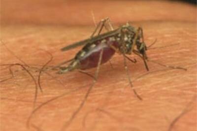 Malaria becomes a battling issue