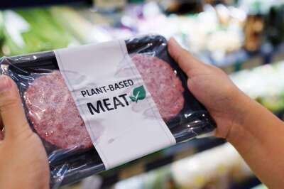 Plant Based Meat Alternatives: A Comparative Analysis of Taste, Texture And Nutrition