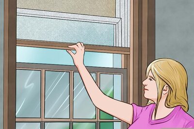 How to Cat Proof Your Apartment