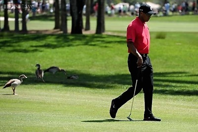 Woods withdraws in final round of Honda Classic