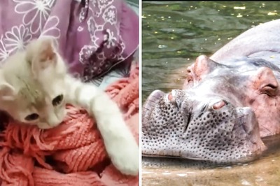 World Sleep Day Memes Prove Rest Is The Best Medicine