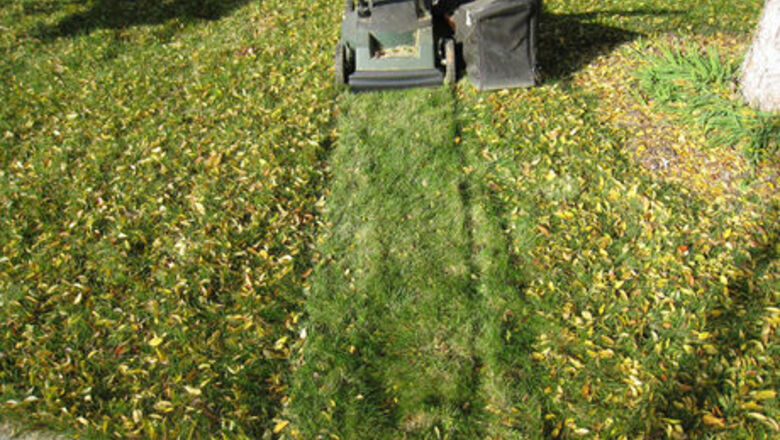 How to Enjoy Raking Leaves